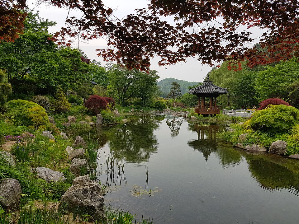 庭園の静かな池