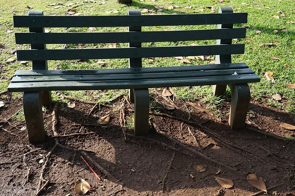 朝の公園の木のベンチ
