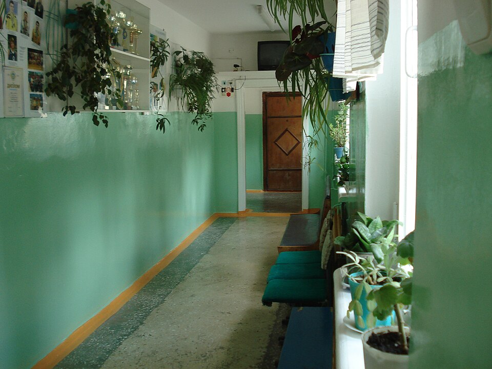 鉢植えの植物が並ぶ窓辺と廊下