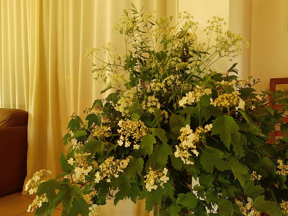 カーテンの前に飾られた白い花と緑の葉