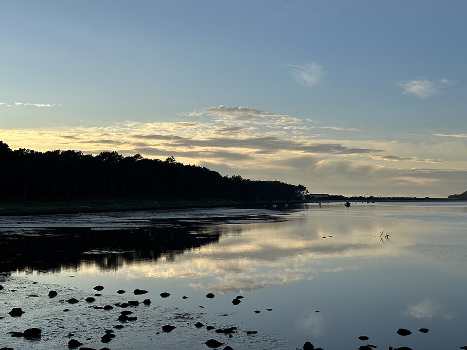 夕暮れの引き潮の河口に広がる砂地と水面