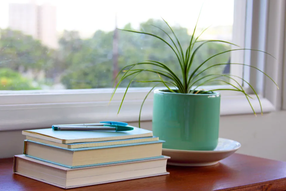 Book Interior