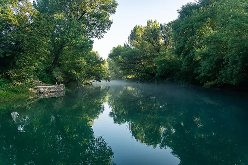 Atmospheric early morning view of the calm Bunica River featuring light haze/fog hovering over the water, deep green tree reflections, and a