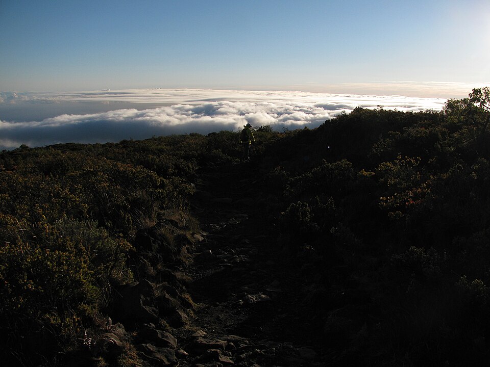 雲海を見下ろす朝の山道