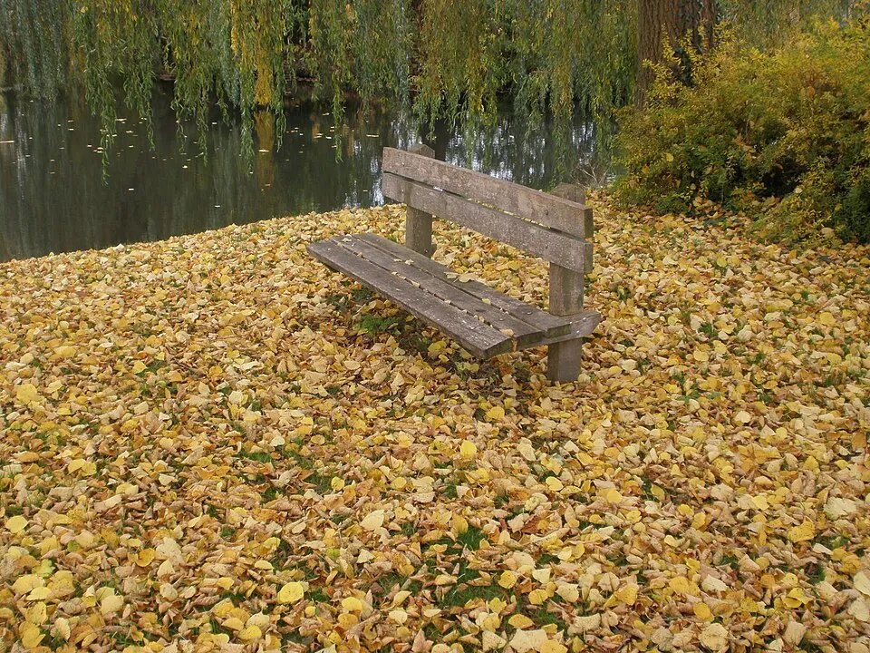 秋の公園のベンチ