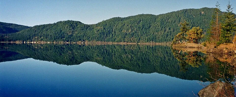 静かな湖の水面