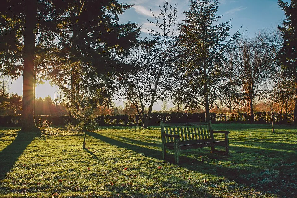 Nonsuch Park - Surrey - December 2014