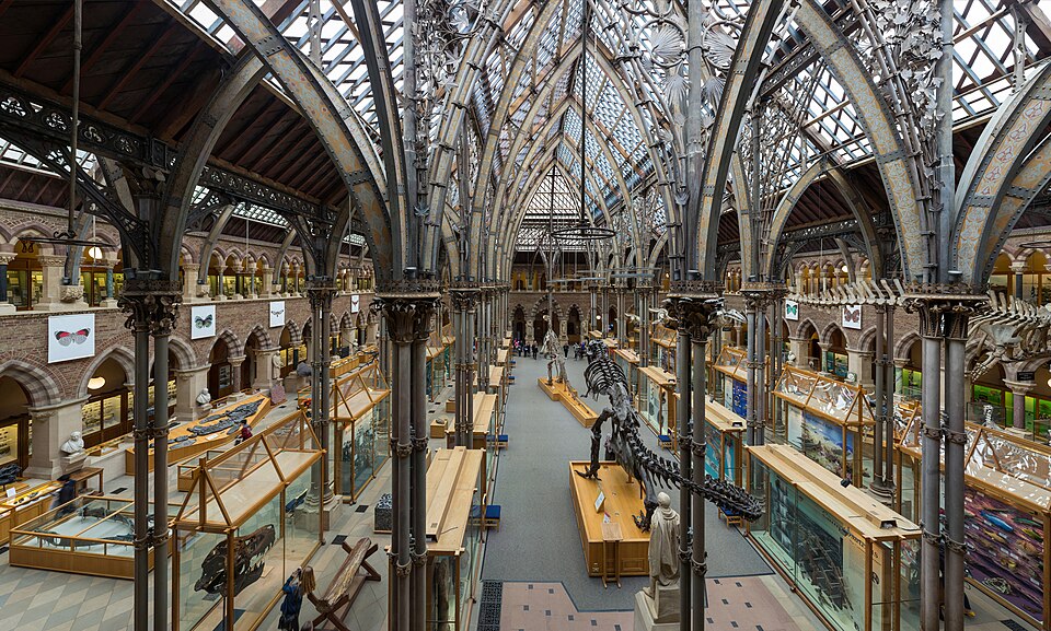 天窓から光が入る博物館の展示ホール