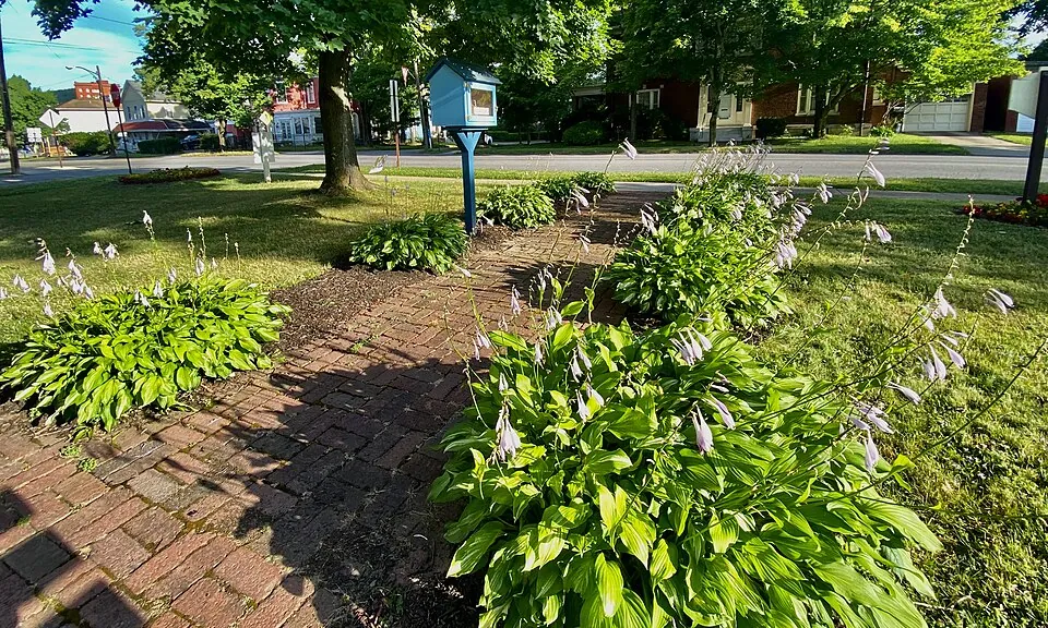 花の咲く公園のれんがの小道