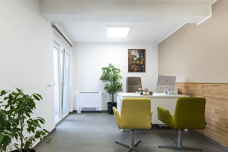 Modern office space featuring a desk, chairs, and plants