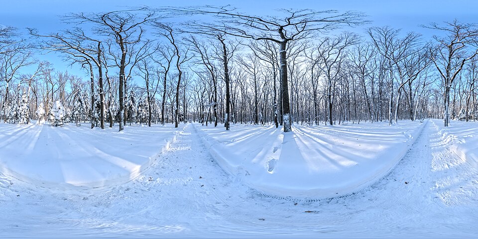 雪の積もった森の小道